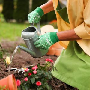 Patio, Lawn & Garden