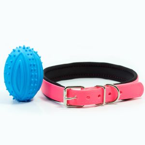 Pet Supplies